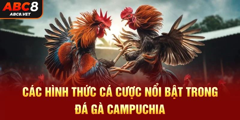 Các hình thức cá cược nổi bật trong đá gà campuchia