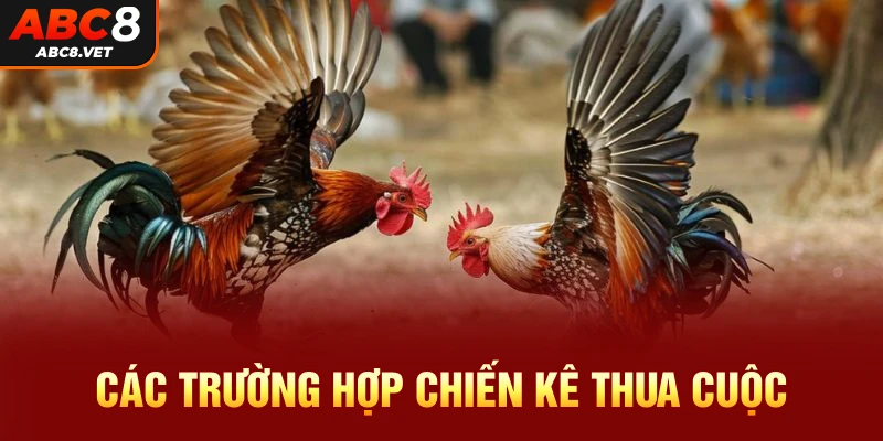 Các trường hợp thua cuộc