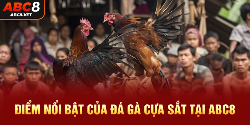 Điểm nổi bật của đá gà cựa sắt tại ABC8