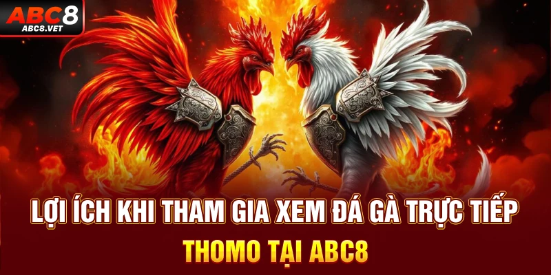 Lợi ích khi tham gia xem đá gà trực tiếp Thomo tại ABC8