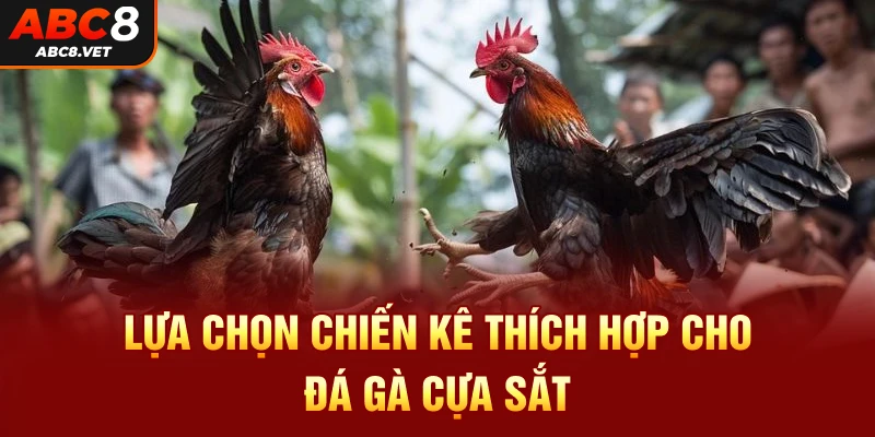 Lựa chọn chiến kê thích hợp cho đá gà cựa sắt