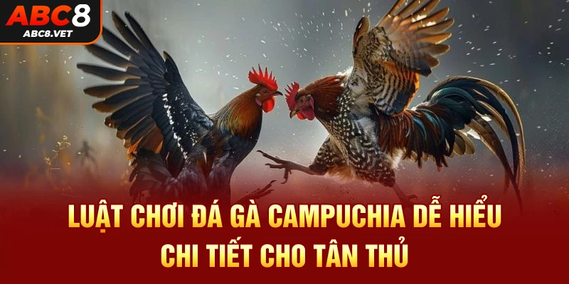 Luật chơi đá gà campuchia dễ hiểu chi tiết cho tân thủ