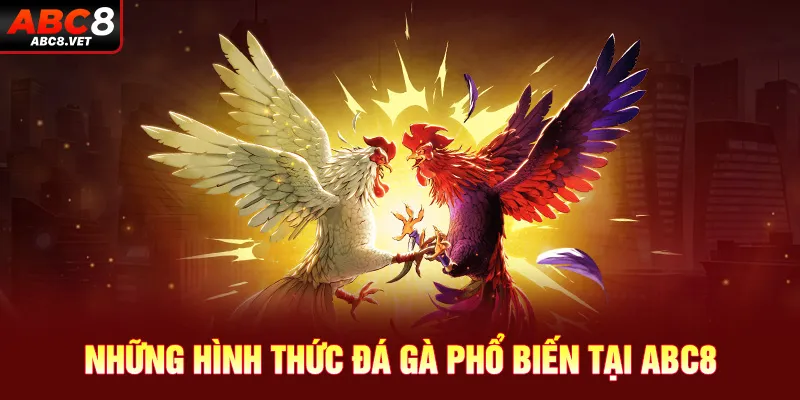 Những hình thức đá gà phổ biến tại ABC8