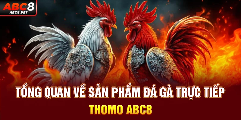 Tổng quan về sản phẩm đá gà trực tiếp Thomo ABC8